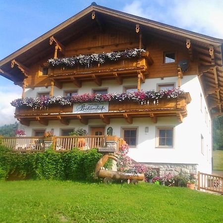 Ferienwohnungen Behamhof Neukirchen am Großvenediger Eksteriør bilde