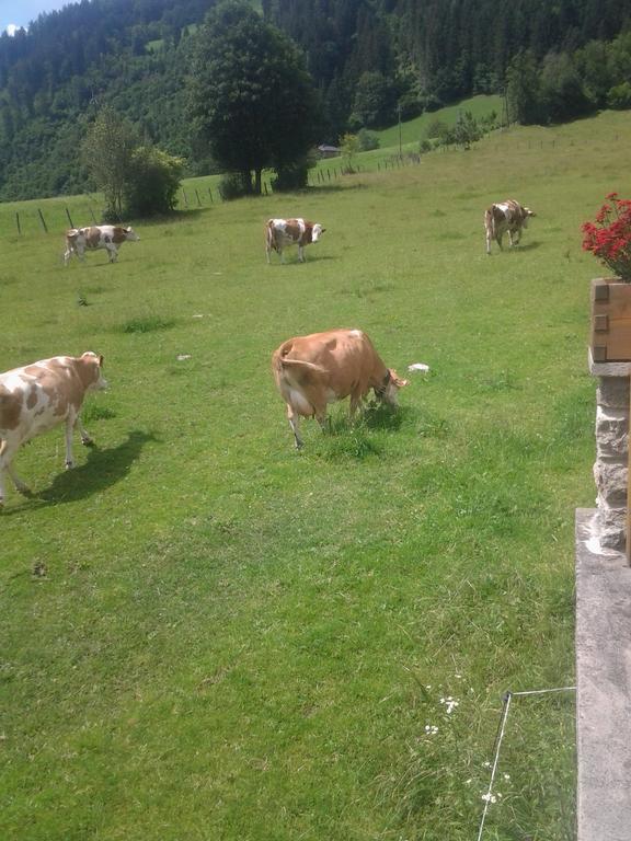 Ferienwohnungen Behamhof Neukirchen am Großvenediger Eksteriør bilde
